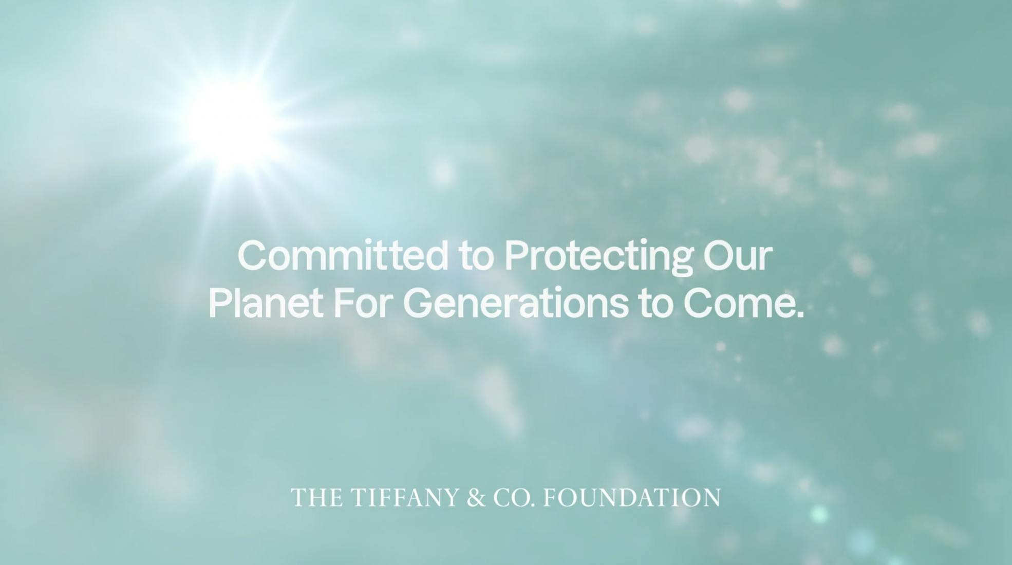 Copertina La Fondazione Tiffany & Co. supera i 100 milioni di dollari di sovvenzioni per la protezione di paesaggi marini e terrestri