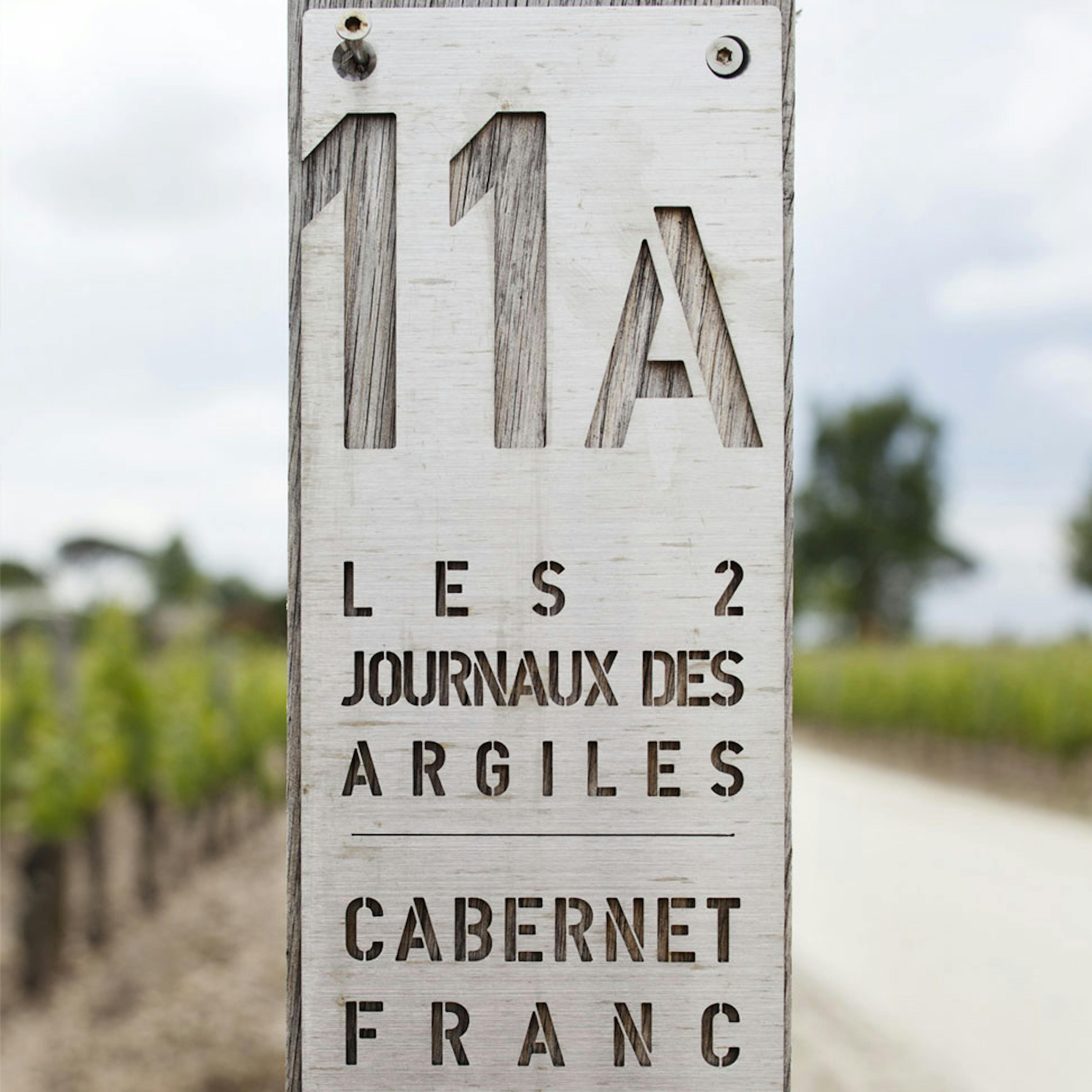 Each of the vineyard parcels received specific care to express their own character © Cécile Burban