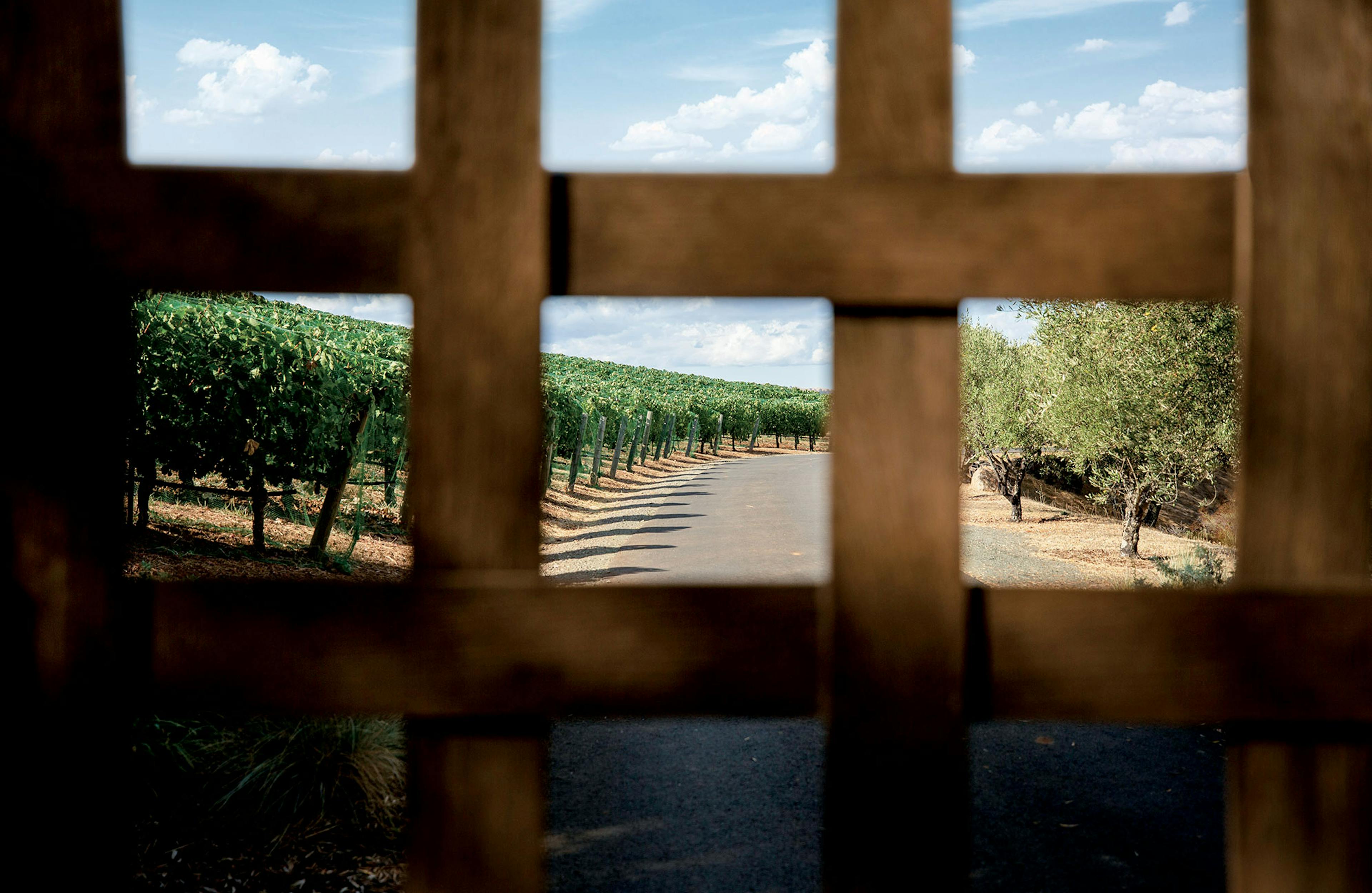 The entrance to IX Estate © Colgin Cellars